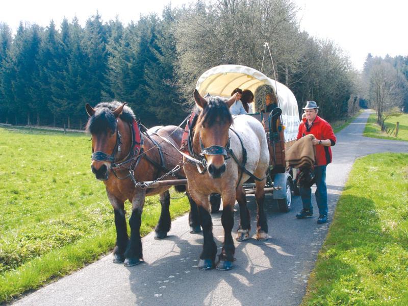 Landgasthof Lang Zum Adler Oberkalbach Екстериор снимка